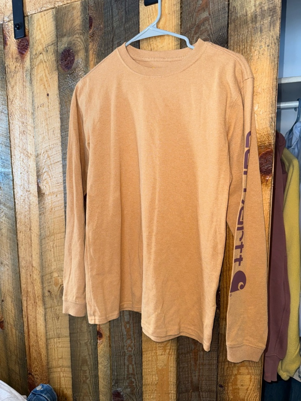 Carhartt Long Sleeve Tee in Tan with Purple Sleeve Logo